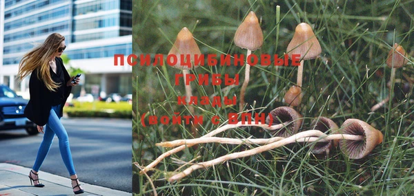 гашиш Алексин
