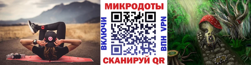 Галлюциногенные грибы Psilocybine cubensis Орлов